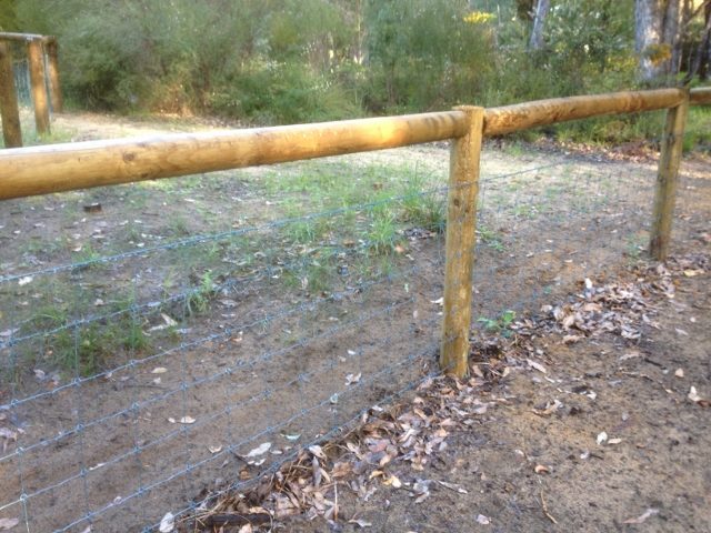 Top Rail Rural Fence