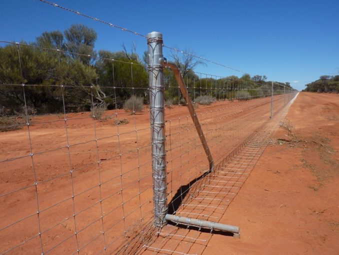 Vermin Proof Fencing